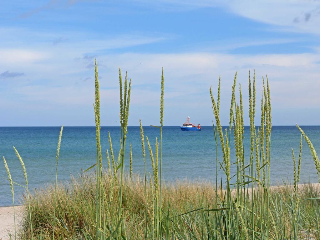 Haus Avella Whg 36 Meer Mit Balkon Apartment Ostseebad Binz